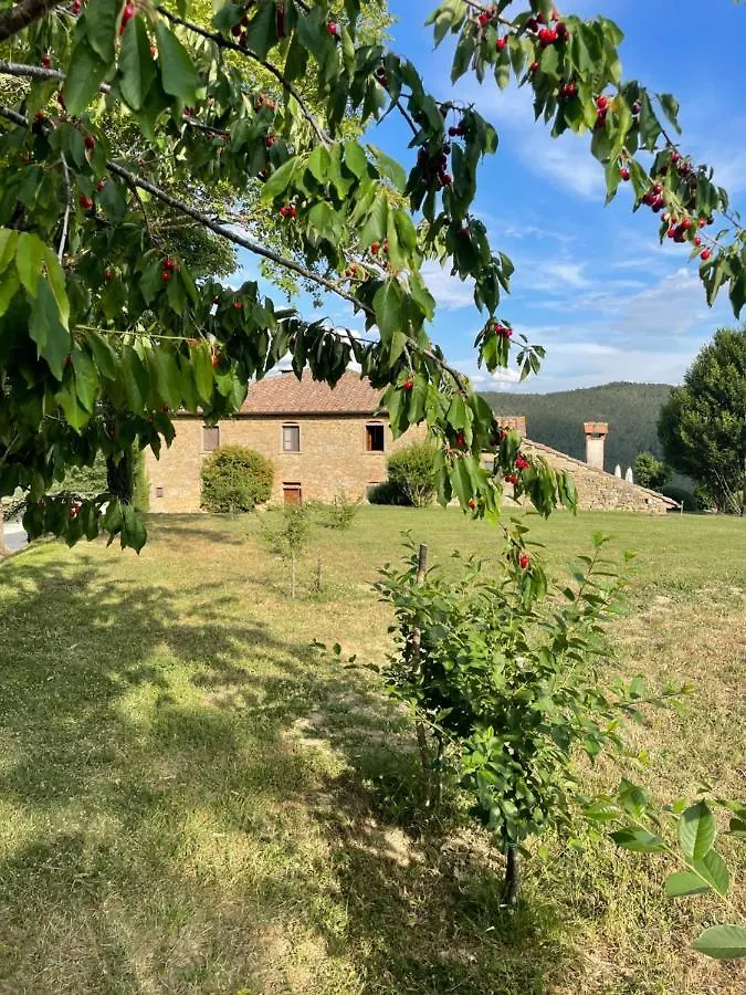 Locanda Del Viandante B&B Anghiari Frühstückspension